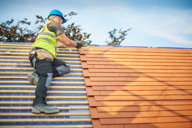 Best Roof Ventilation Installation  in Trappe, PA