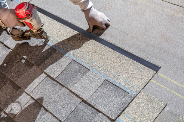 Best Storm Damage Roof Repair  in Trappe, PA
